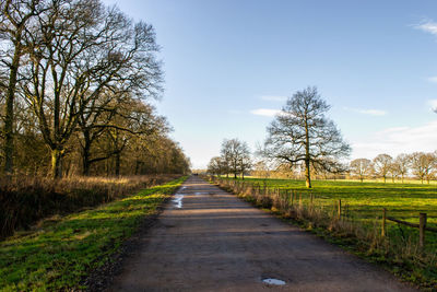 Road amidst bare trees on field against sky