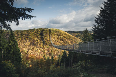 Bridge against sky at forest