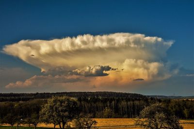 Scenic view of landscape against sky during sunset