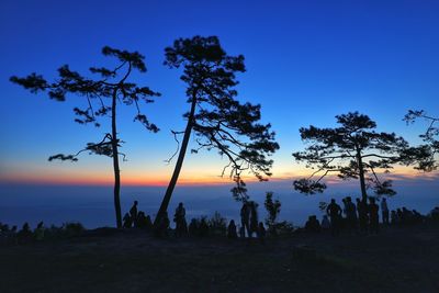 Silhouette trees on beach against sky during sunset