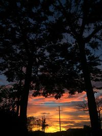 Low angle view of silhouette trees against sky during sunset