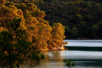 River amidst trees against sky