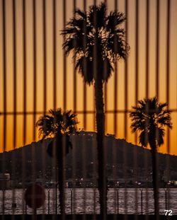 Silhouette palm trees against sky during sunset