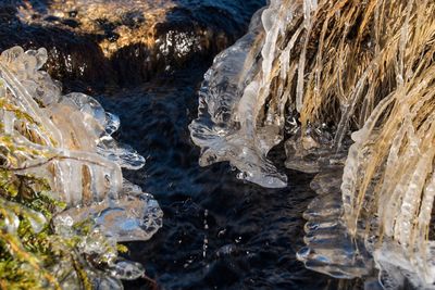 Close-up of frozen water