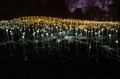 Illuminated christmas lights at night