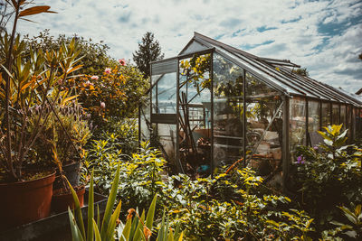 Potted plants by house against sky