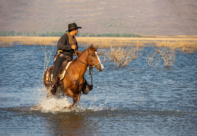 Man riding horse in sea