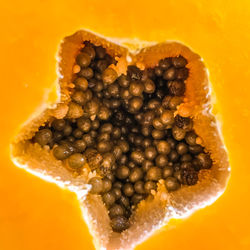 High angle view of bread in plate