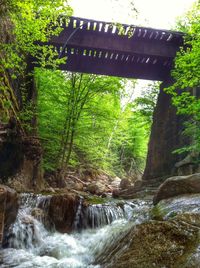 River flowing through rocks