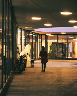 Rear view of people walking in illuminated corridor