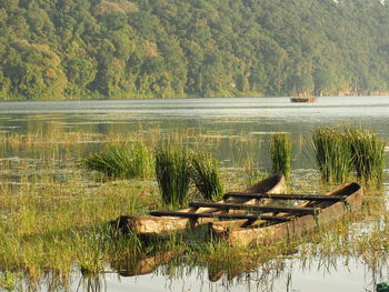 Scenic view of lake against trees