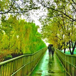 People walking on footbridge