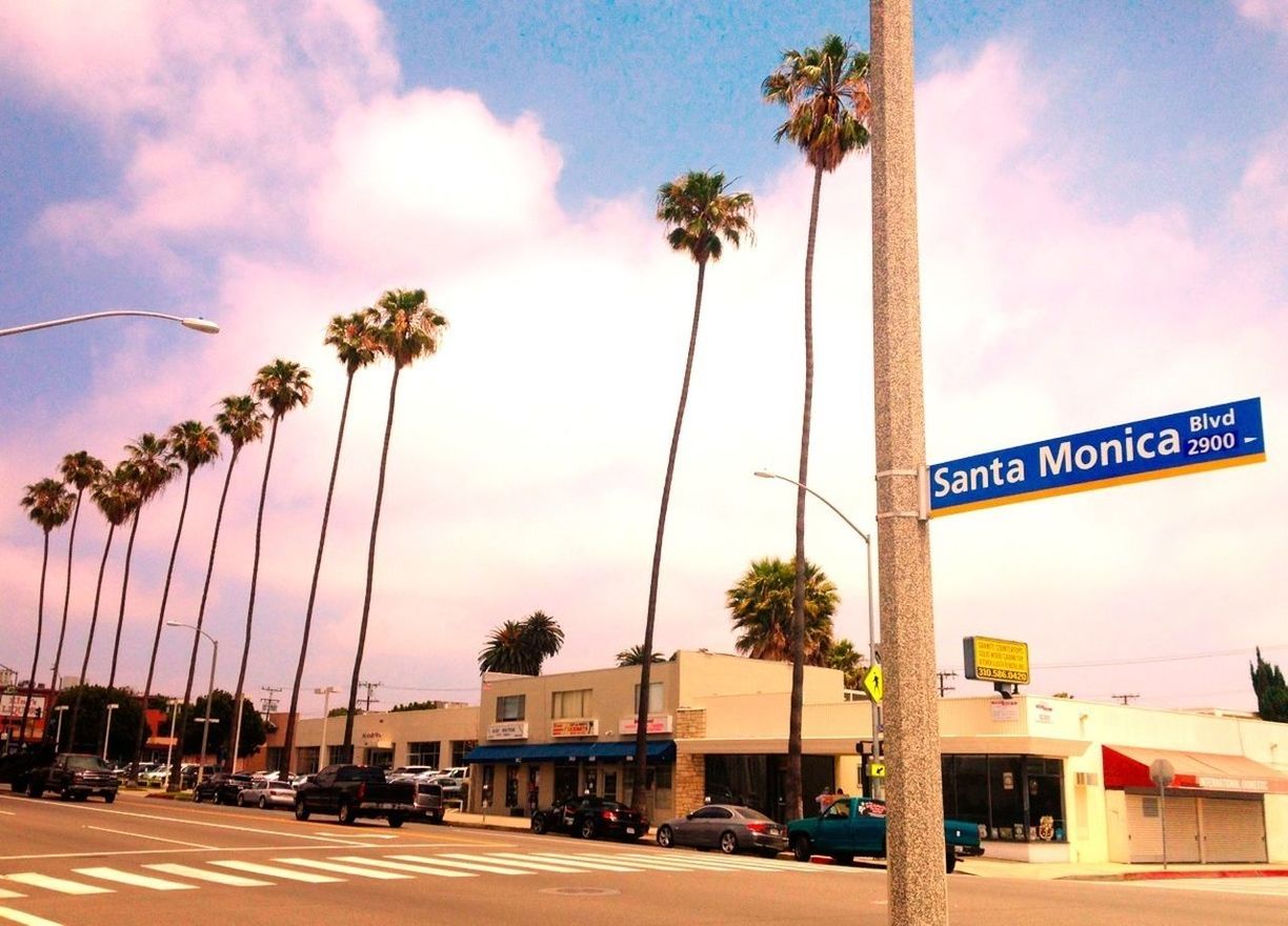 palm tree, sky, building exterior, transportation, architecture, built structure, road, street, car, tree, text, land vehicle, city, cloud - sky, western script, mode of transport, communication, street light, cloud, incidental people