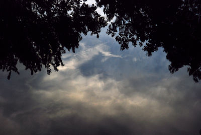 Low angle view of silhouette trees against sky