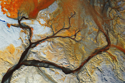 Full frame of abstract background with cracks in shape of tree with branches on rough stone surface with colorful spots