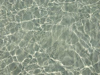 Full frame shot of wet surface