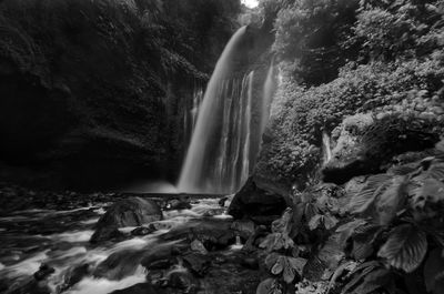 Scenic view of waterfall in forest