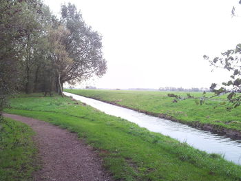 Scenic view of grassy field against sky