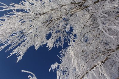 Close-up of snow