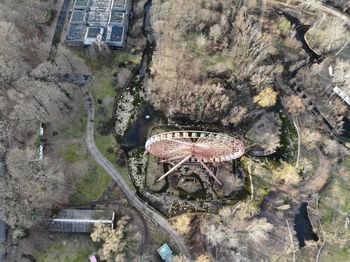 High angle view of trees and plants on field