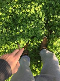 Low section of person standing on ground