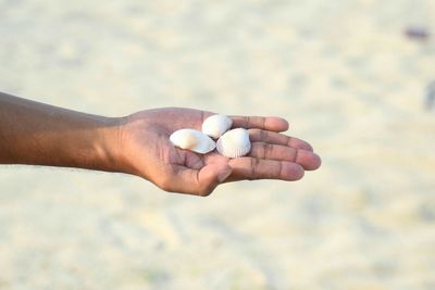 Close-up of human hand