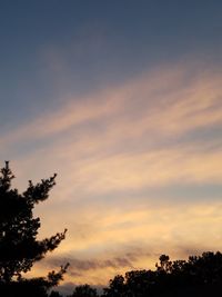 Low angle view of silhouette trees against sky at sunset