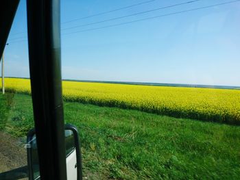 Scenic view of field against clear sky