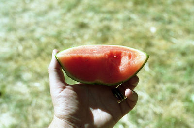 Close-up of cropped hand holding ice cream