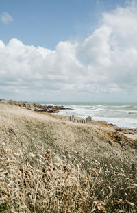 Scenic view of beach against sky