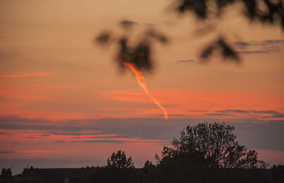 Silhouette trees against sky during sunset