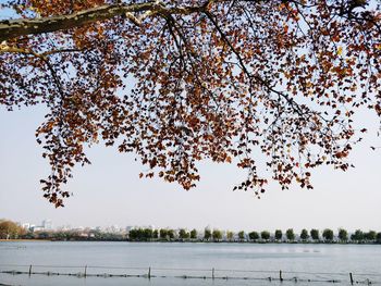 Scenic view of lake against clear sky