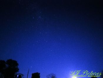 Low angle view of trees against clear blue sky at night