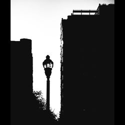 Low angle view of silhouette street light against building