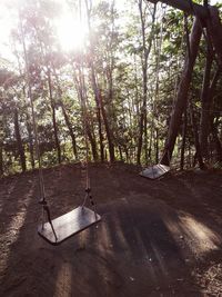 Trees in forest