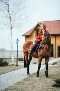 Horse standing in front of bare tree