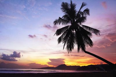 Silhouette palm tree by sea against sky at sunset