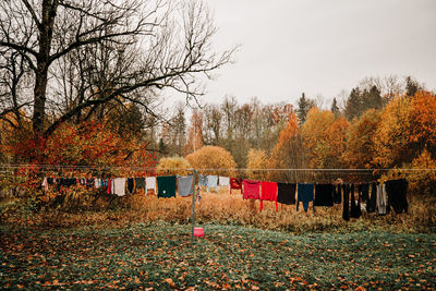 Autumn leaves on field against sky