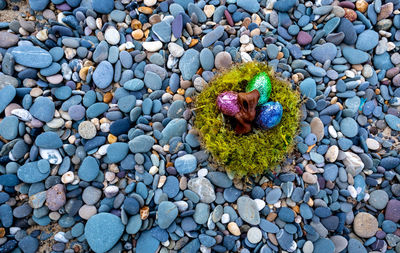 High angle view of stones on rock