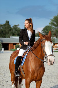 Close-up of horse standing on field