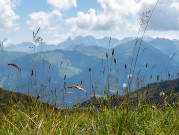 Scenic view of grass and mountains against sky