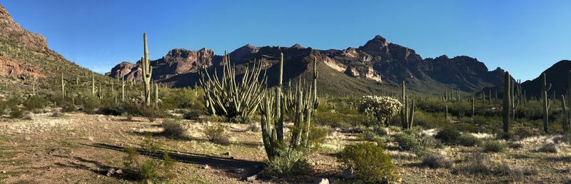 Panoramic view of landscape against clear blue sky