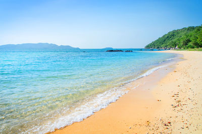Scenic view of beach