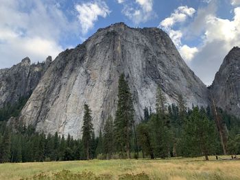 Low angle view of trees on mountain against sky