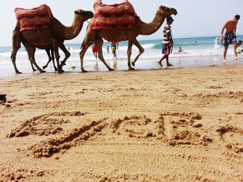 Eyeem text on sand with camels in background at beach