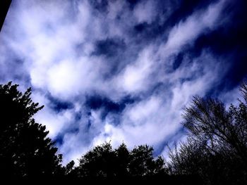 Low angle view of trees against cloudy sky