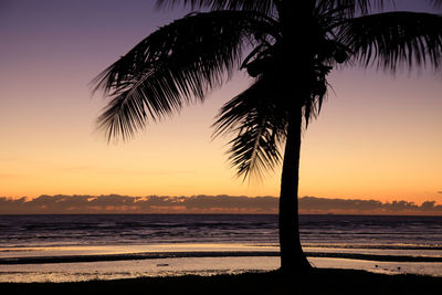 Palm trees on beach at sunset