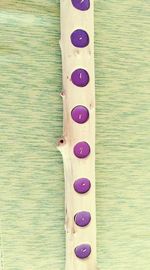 Close-up of multi colored table