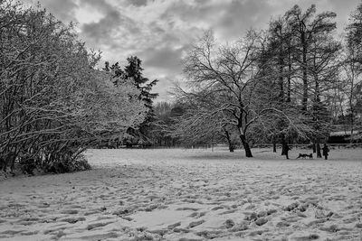 Bare trees on snow covered land against sky