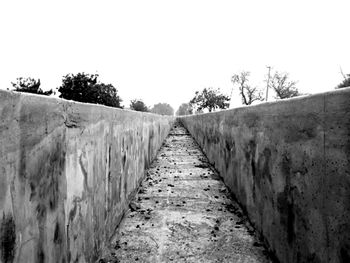 Narrow pathway along trees